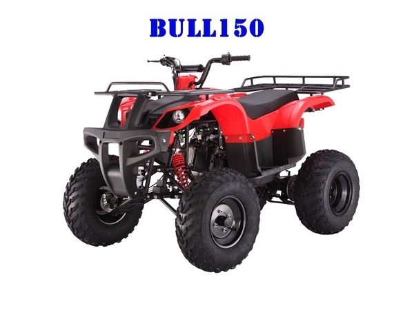 TAOTAO ATV BULL150