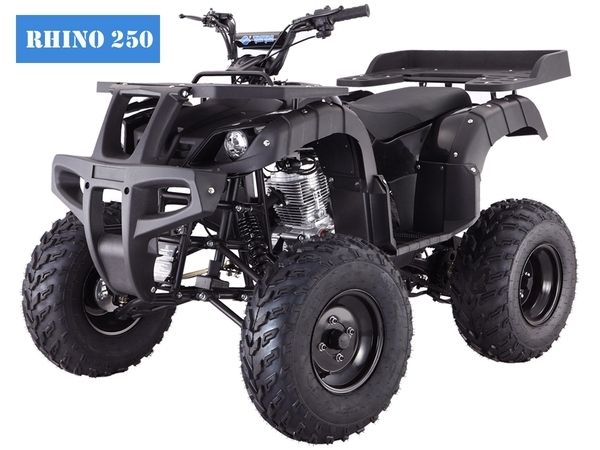 TAOTAO ATV RHINO250