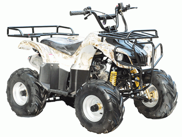 TAOTAO ATV ata110d