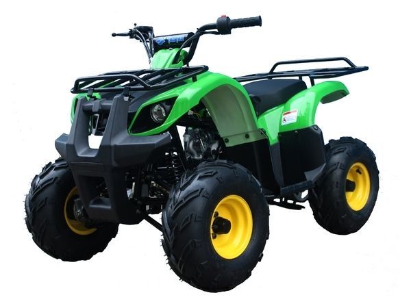 TAOTAO ATV ata125d