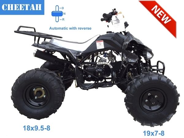 TAOTAO ATV cheetah