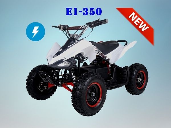 TAOTAO ATV e1-350