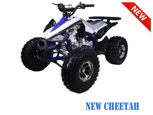 TAOTAO ATV new cheetah