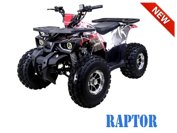 TAOTAO ATV raptor