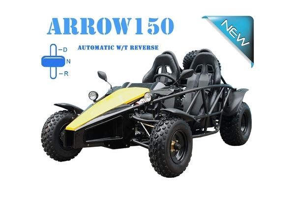 TAOTAO Go KArt ARROW150