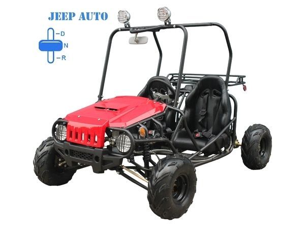 TAOTAO Go KArt Jeep Auto