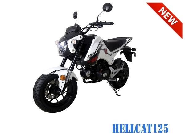 TAOTAO Scooter HELLCAT125